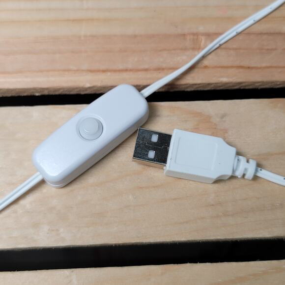 "Class of 2025" Light & "2025" Thin Wooden Cutout from Hobby Lobby - Picture 4 of 5